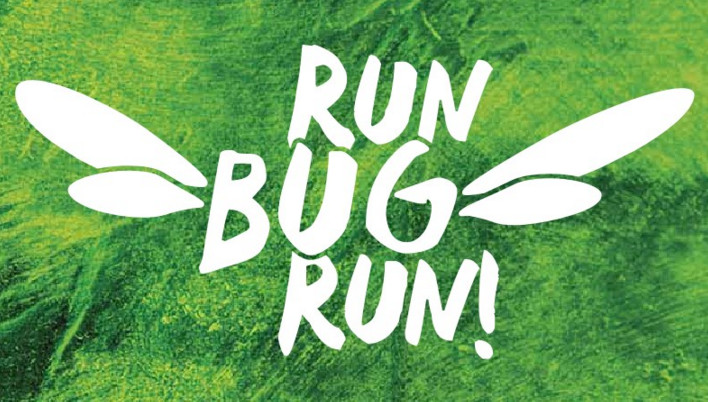 Run Bug Run!