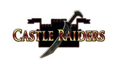 Castle Raiders