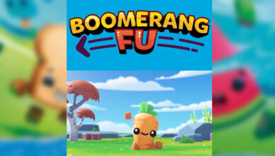 Boomerang Fu