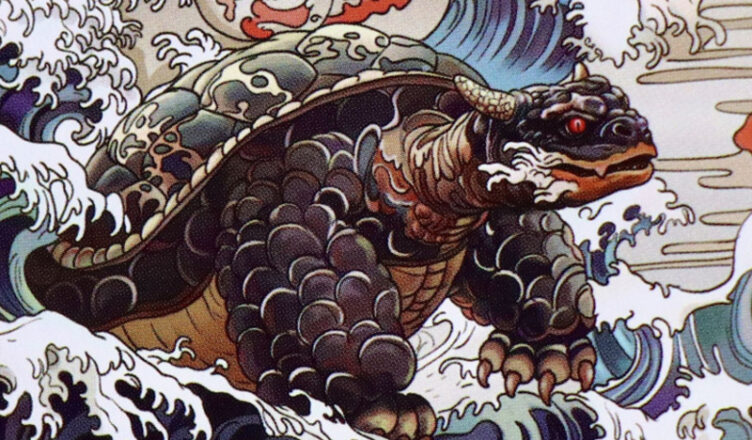 juegos de mesa tortugas