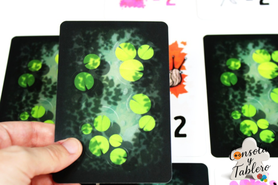 Rocket Lemon novedades