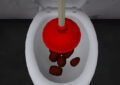 Mr Toilet
