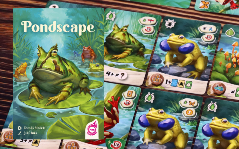 Pondscape
