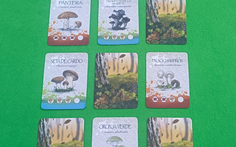 Boletus juego