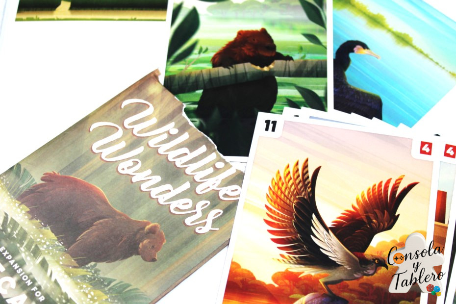 Wildlife