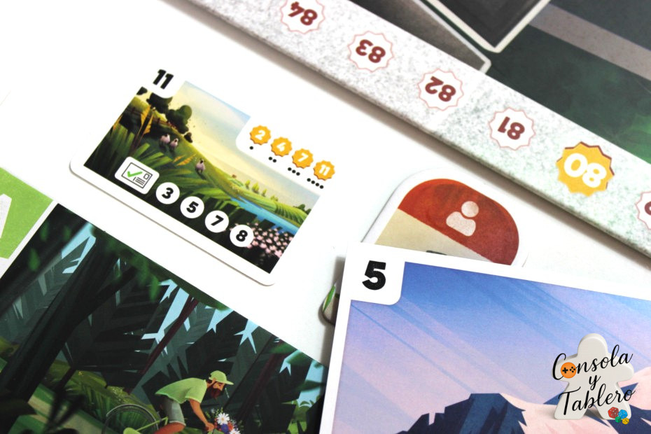 juego de mesa Francia bici